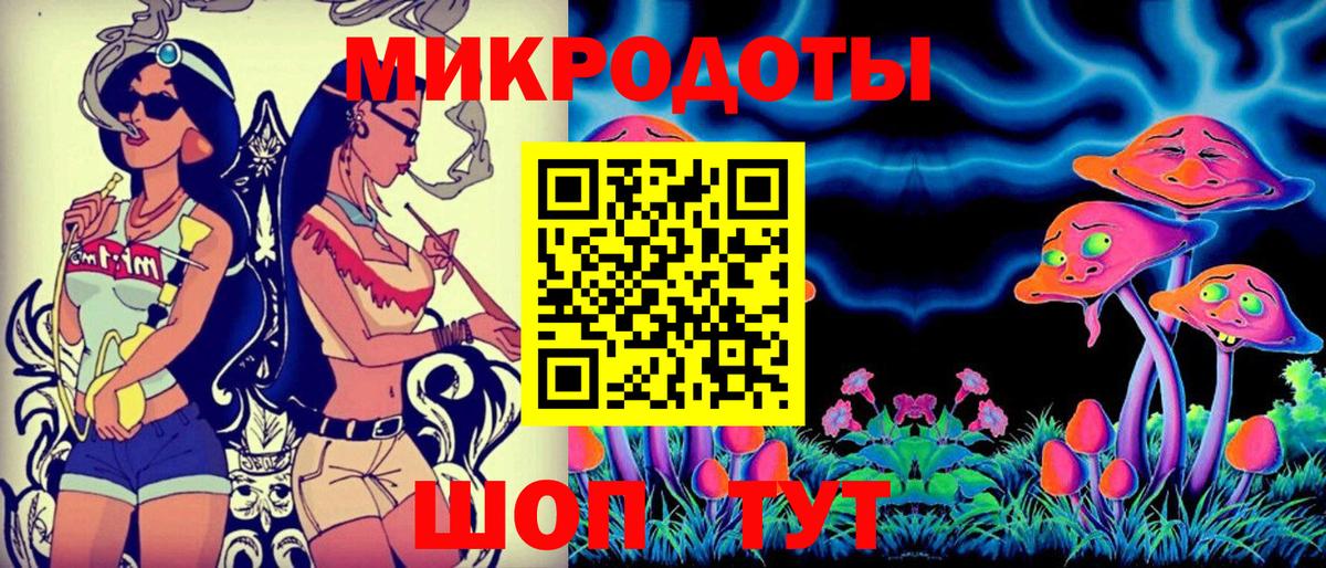Галлюциногенные грибы Cubensis Сафоново