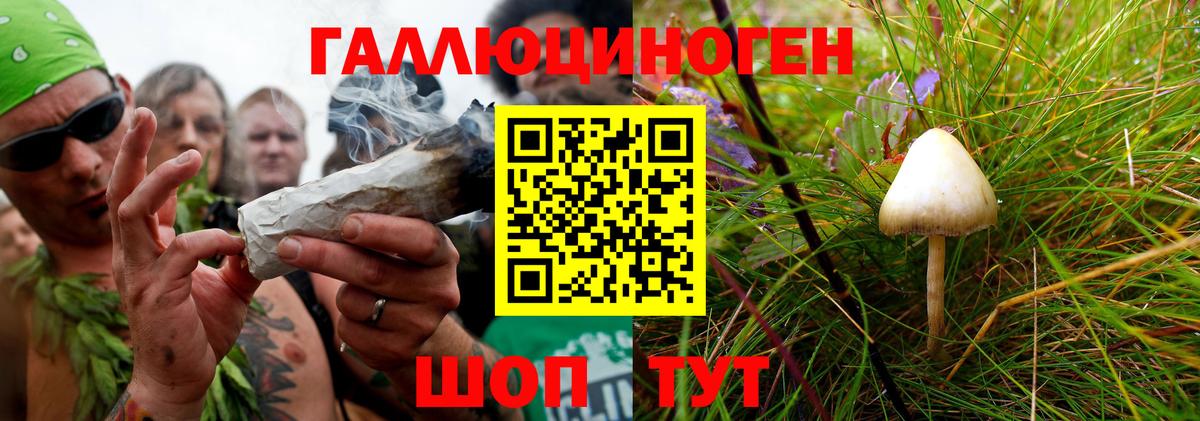 даркнет сайт  Галлюциногенные грибы Cubensis  Вход с VPN  Сафоново 