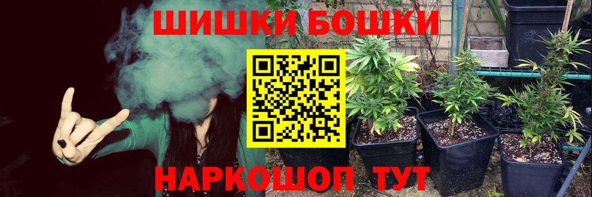 ГАШ Сафоново
